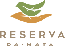 logo-damata